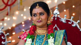 Paape Maa Jeevana Jyothi S01E369 Hymavathi's Stunning Decision Full Episode