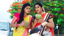 Paape Maa Jeevana Jyothi S01E371 Yamini, Indumathi's Wicked Plan Full Episode