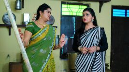 Paape Maa Jeevana Jyothi S01E374 Yamini Is Upset Full Episode