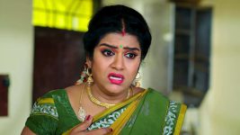 Paape Maa Jeevana Jyothi S01E375 Indumathi's Plan Backfires Full Episode