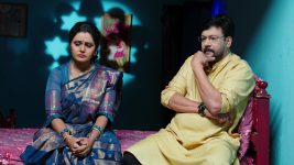 Paape Maa Jeevana Jyothi S01E380 Hymavathi's Family in a Fix Full Episode