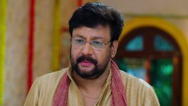 Paape Maa Jeevana Jyothi S01E381 Gowri Prasad's Request to Kutti Full Episode