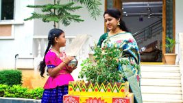 Paape Maa Jeevana Jyothi S01E383 Jyothi Praises Kutti Full Episode