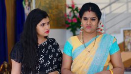 Paape Maa Jeevana Jyothi S01E392 Indumathi's Wicked Plan Full Episode