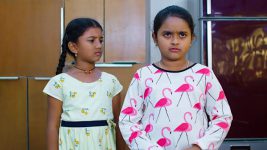 Paape Maa Jeevana Jyothi S01E411 Mallika's Demand to Kutti Full Episode