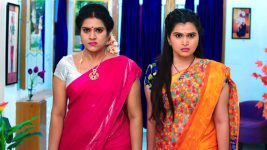 Paape Maa Jeevana Jyothi S01E413 Indumathi, Yamini's Another Plan Full Episode