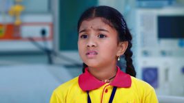 Paape Maa Jeevana Jyothi S01E418 Kutti, Priya Unfold the Truth Full Episode