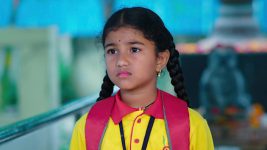 Paape Maa Jeevana Jyothi S01E426 Kutti Gets Emotional Full Episode