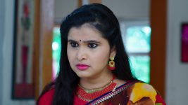 Paape Maa Jeevana Jyothi S01E461 Yamini Scolds Kutti Full Episode