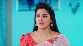 Paape Maa Jeevana Jyothi S01E80 Jyothi Is Heartbroken Full Episode