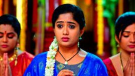 Padamati Sandhyaragam S01E47 11th November 2022