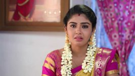 Pandian Stores S01E164 Meena Creates a Scene Full Episode