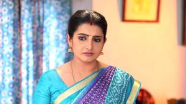 Pandian Stores S01E196 Dhanam Acts Sulky Full Episode