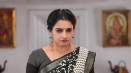 Pandian Stores S01E460 Dhanam Stands Her Ground Full Episode