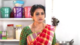 Pandian Stores S01E540 Dhanam, Raasathi's Tiff Full Episode