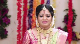 Pandian Stores S01E57 Mulla's Heartbreaking Decision Full Episode