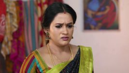 Pandian Stores S01E572 A Shocker for Mulla Full Episode