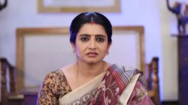 Pandian Stores S01E803 Dhanam Worries about the Family Full Episode