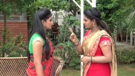 Pavitra Bandham S01E183 Bharati's Warning to Vidya Full Episode