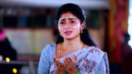 Peranbu S01E137 28th May 2022 Full Episode