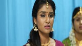 Poove Poochudava S01E166 12th December 2017 Full Episode