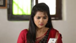 Poove Poochudava S01E189 12th January 2018 Full Episode