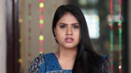 Poove Poochudava S01E216 20th February 2018 Full Episode