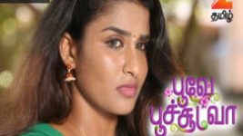 Poove Poochudava S01E29 1st June 2017 Full Episode