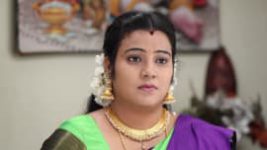 Poove Poochudava S01E486 2nd January 2019 Full Episode