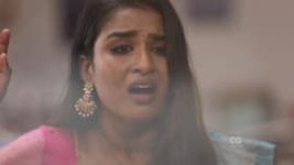 Poove Poochudava S01E738 15th November 2019 Full Episode