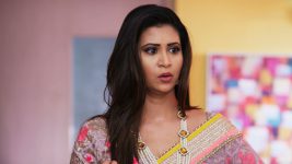 Prema Baraha S01E64 17th December 2020 Full Episode