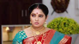 Raja Paarvai (vijay) S01E106 Meenatchi Suspects Kokila Full Episode