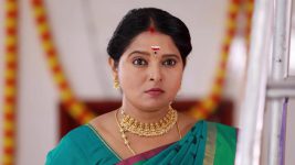 Raja Paarvai (vijay) S01E70 Meenatchi's Evil Deeds Full Episode