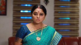 Raja Paarvai (vijay) S01E93 Meenatchi's Cunning Plot Full Episode