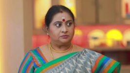 Raja Rani S01E113 Lakshmi is Humiliated Full Episode