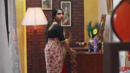 Raja Rani S01E116 Nandhini's Evil Plan Full Episode