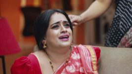 Raja Rani S01E134 Vadivu Fakes it Full Episode