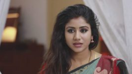 Raja Rani S01E137 Sembaruthi's Sneaky Move Full Episode