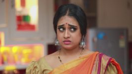 Raja Rani S01E161 Archana, Vadivu Feel Awkward Full Episode