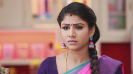 Raja Rani S01E167 Is Sembaruthi in Trouble? Full Episode