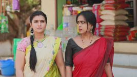 Raja Rani S01E179 Archana, Vadivu Fool Sembaruthi Full Episode