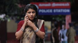 Raja Rani S01E181 Sembaruthi is Desperate Full Episode