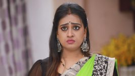 Raja Rani S01E190 Vadivu Causes Trouble Full Episode