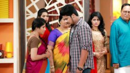 Raja Rani S01E20 Sanjay Begs For Forgiveness Full Episode
