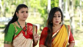 Raja Rani S01E204 Archana and Vadivu in Horror Full Episode