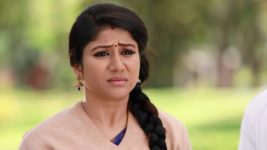 Raja Rani S01E212 Sembaruthi in a Fix Full Episode