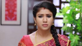 Raja Rani S01E218 Semba Forgives Karthik Full Episode