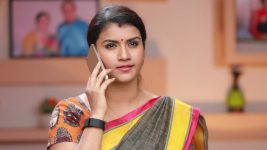 Raja Rani S01E228 Archana's Plan Against Semba Full Episode