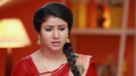 Raja Rani S01E231 Semba Gets Worried Full Episode