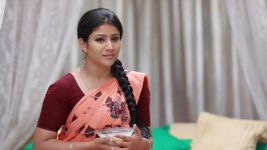 Raja Rani S01E238 Good Times for Semba Full Episode